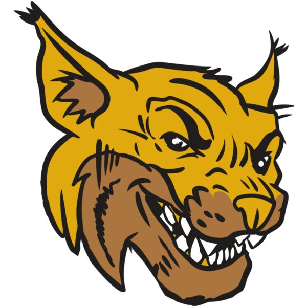 AR15 WILDCAT 01 RQC Thumbnail